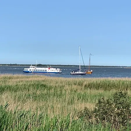 Dom wakacyjny Panorama-haus Boddenperle
